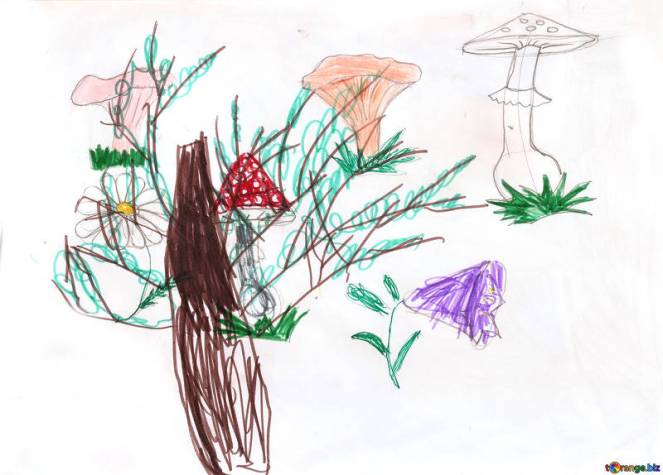 childhood-childrens-drawings-nature-mushroom-tree-18699